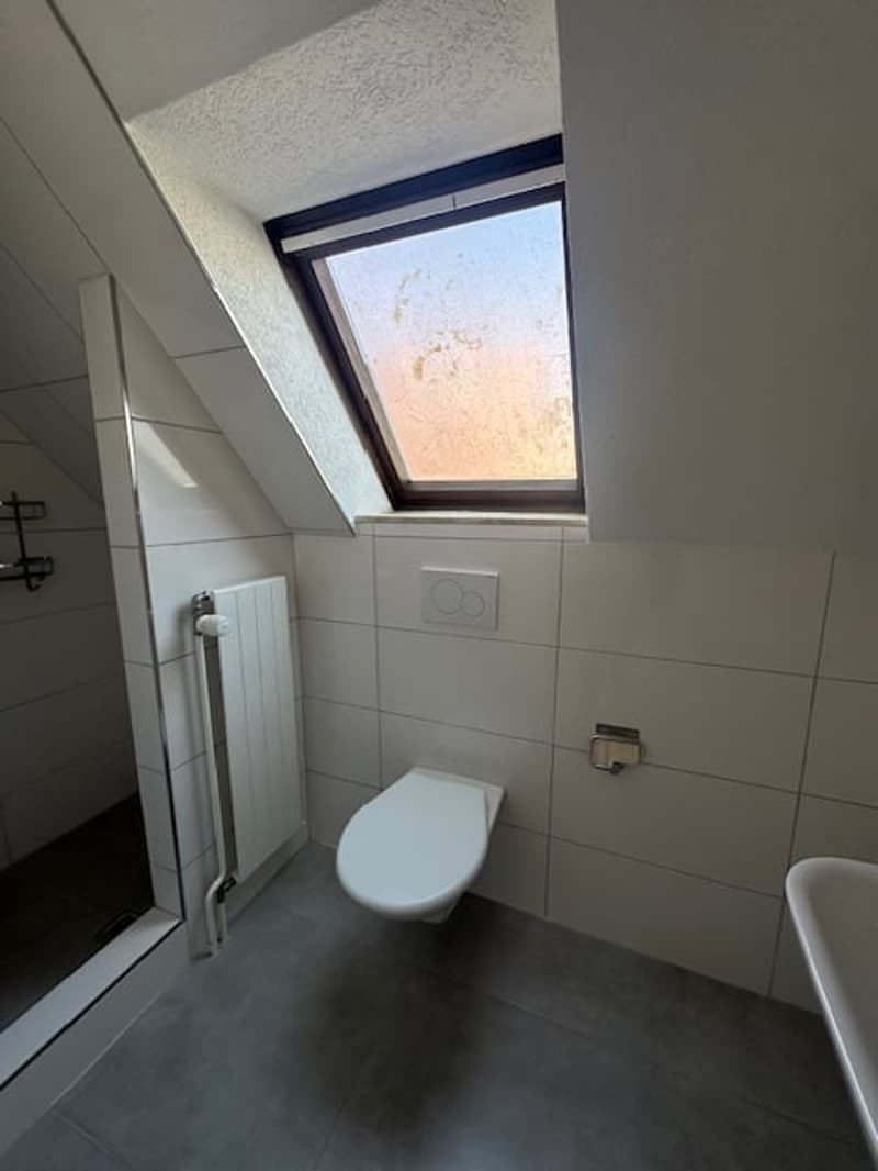 Charmante Dachwohnung mit Charakter an ruhiger Lage in St. Gallen (9)
