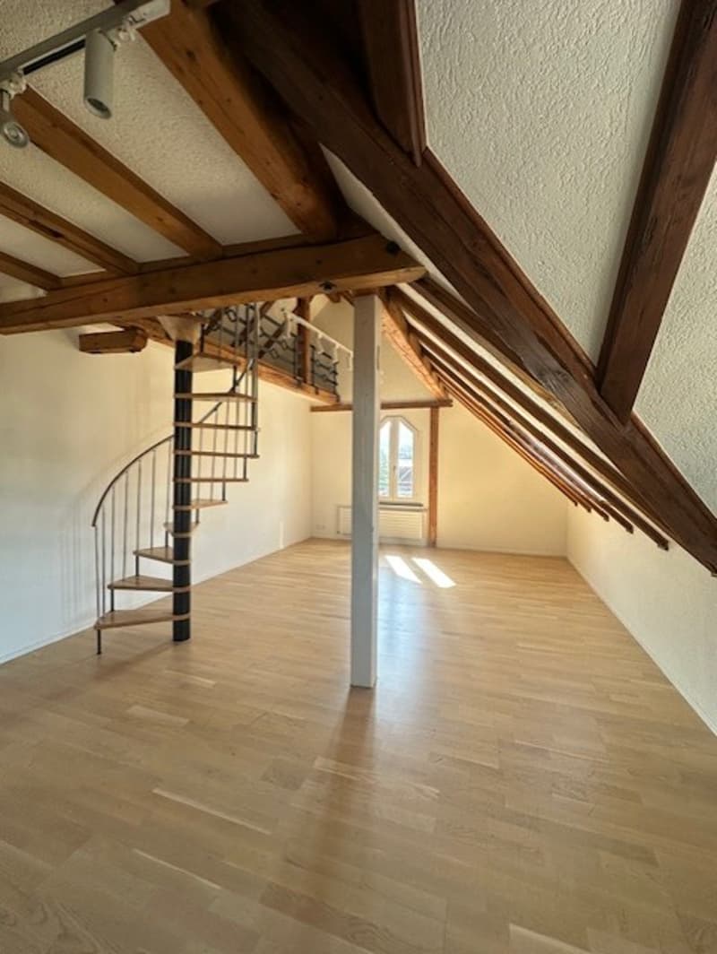 Charmante Dachwohnung mit Charakter an ruhiger Lage in St. Gallen (3)