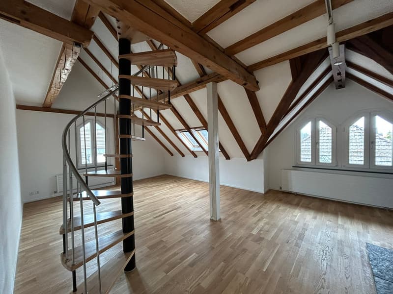Charmante Dachwohnung mit Charakter an ruhiger Lage in St. Gallen (1)