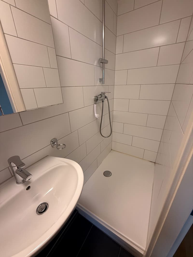 Charmante 4.5-Zimmer-Dachwohnung in Wittenbach (7)
