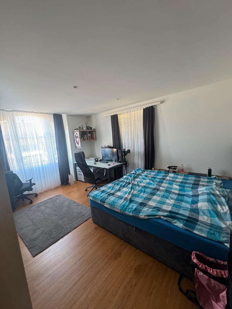 Charmante 5.5-Zimmer-Maisonette-Wohnung in Bürglen TG (9)