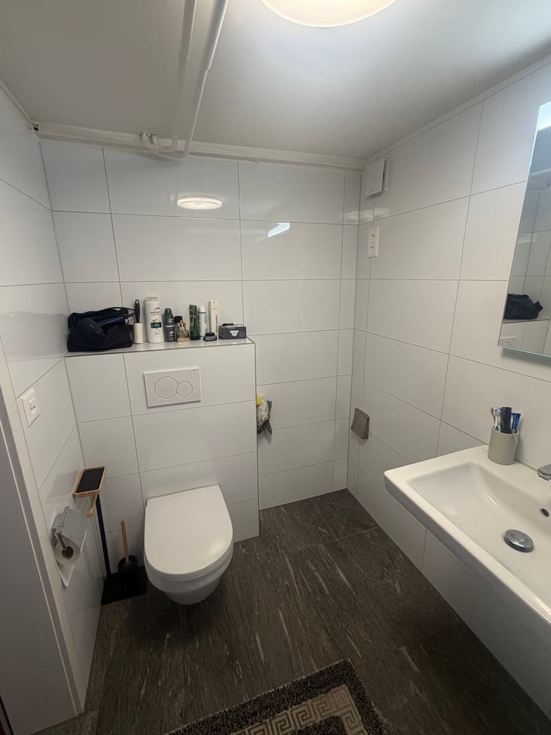 Charmante 2-Zimmer-Wohnung im Untergeschoss in Bischofszell (3)