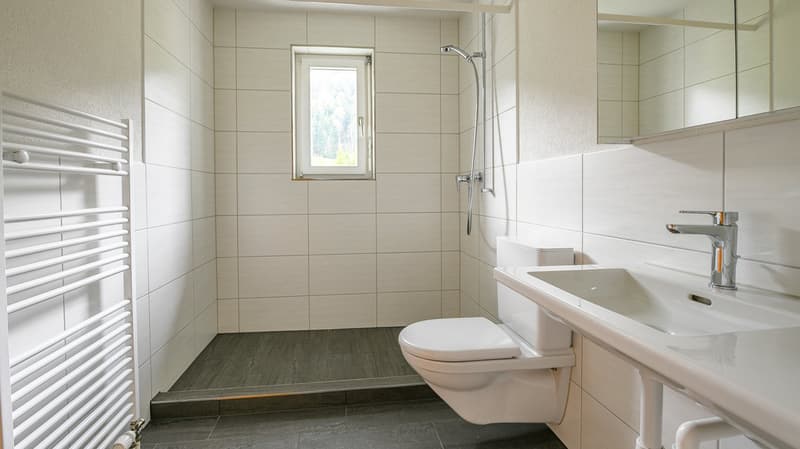 Charmante 3.5-Zimmer-Dachwohnung in Ramiswil (7)