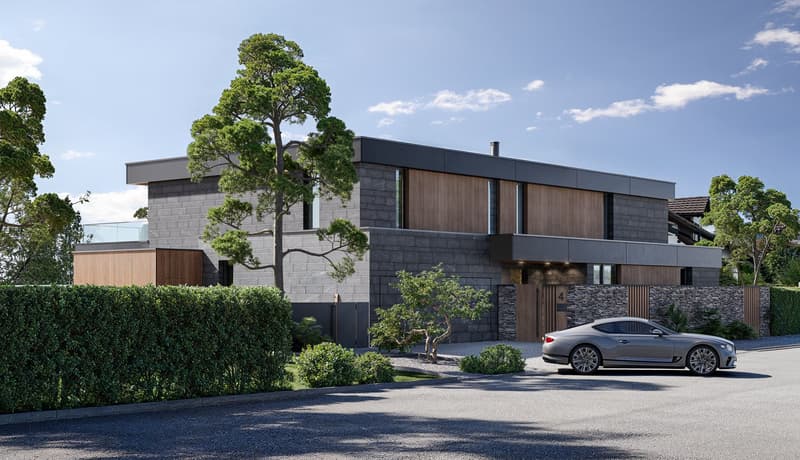 modern style house, gray stone, modern car, glass door, garage, fenced garden