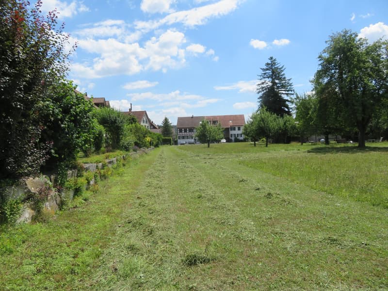 Neubauprojekt - Sechs Familienhäuser in Windlach ZH (4)