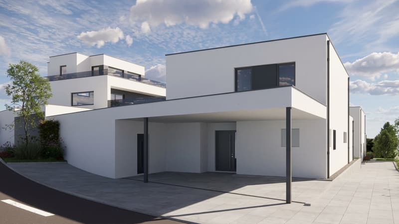 Exklusiver Neubau: Bauhaus-Designhaus mit traumhafter Seesicht an Bestlage in Tägerwilen (3)