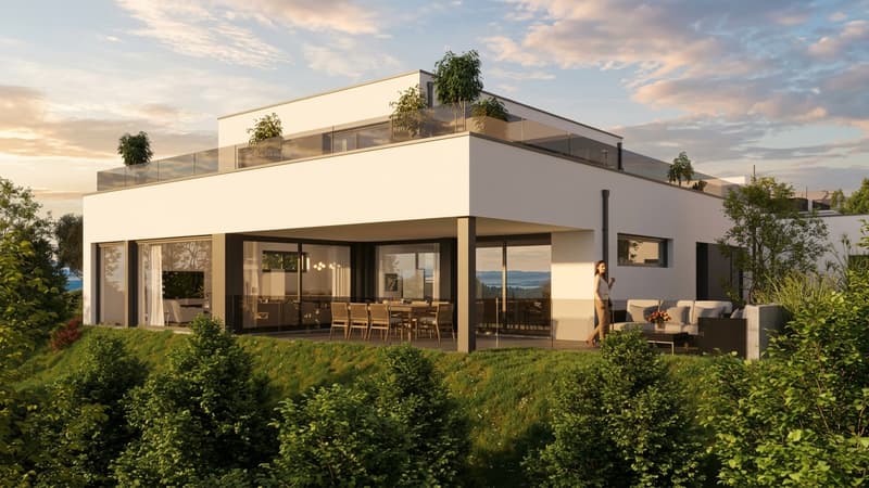 Exklusiver Neubau: Bauhaus-Designhaus mit traumhafter Seesicht an Bestlage in Tägerwilen (1)