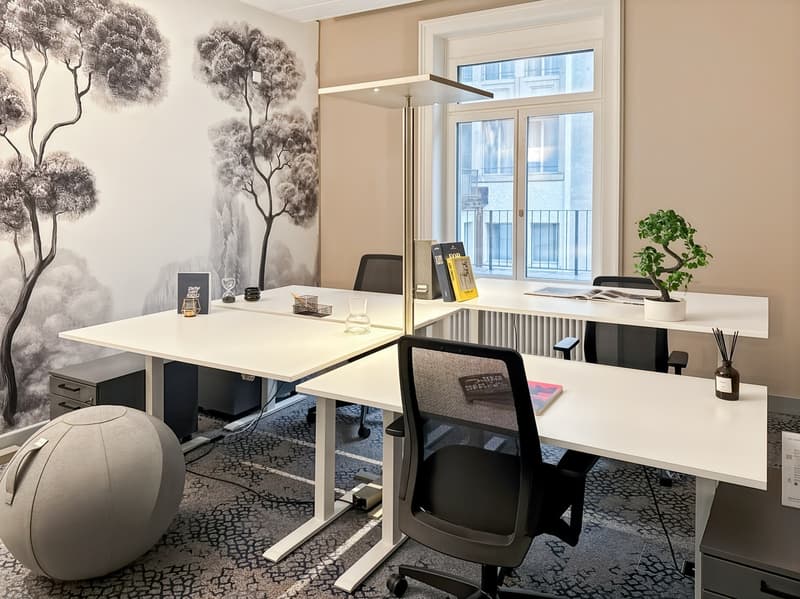 Uffici professionali in Signature Bahnhofplatz con condizioni completamente flessibili (14)