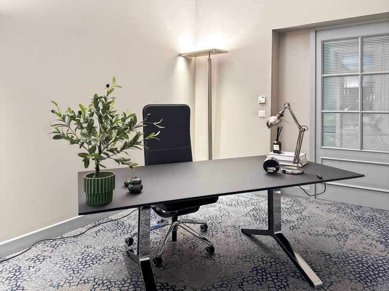 Office desk, office chair, desk lamp, potted plant, black cord on the floor.