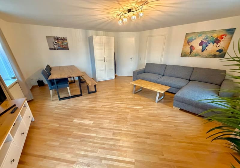 Grosses Zimmer 5min vom Zürich HB :) (2)