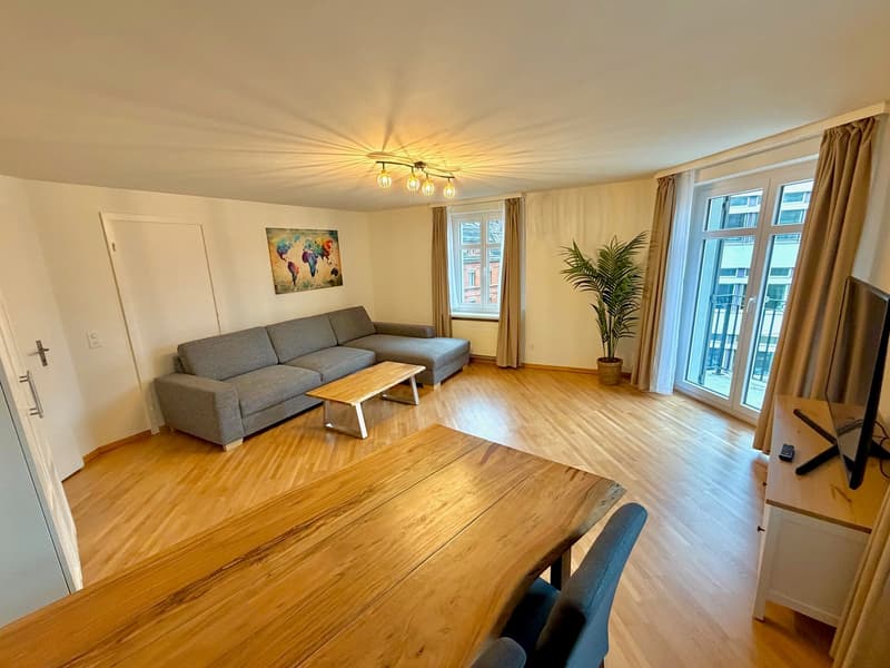 Grosses Zimmer 5min vom Zürich HB :) (3)