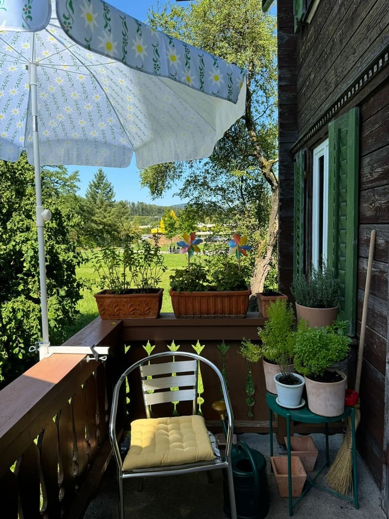 Geräumiges Zimmer in riesigem Haus und grossem Garten :) (6)