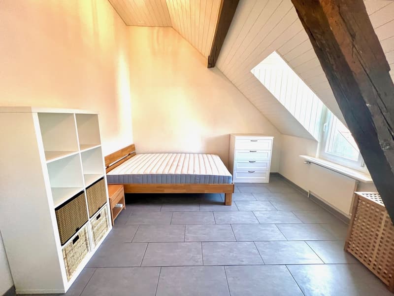 Zentrales Zimmer mit eigener Rooftop Terrace mitten im Kreis 4 :) (3)