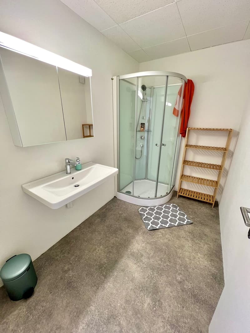 Sehr grosses Zimmer in moderner Wohnung :) (4)