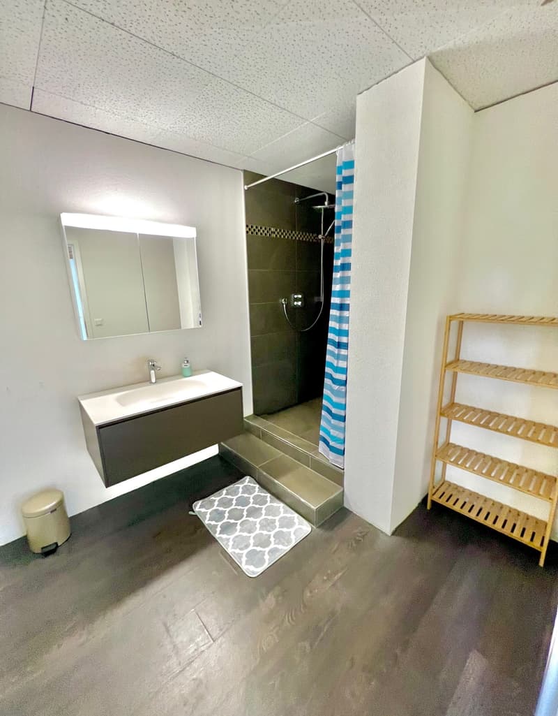 Sehr grosses Zimmer in moderner Wohnung :) (7)