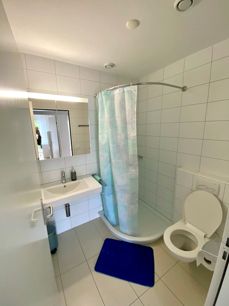 Schönes WG-Zimmer mit idealer Verkehrs-/ÖV Anbindung :) (8)