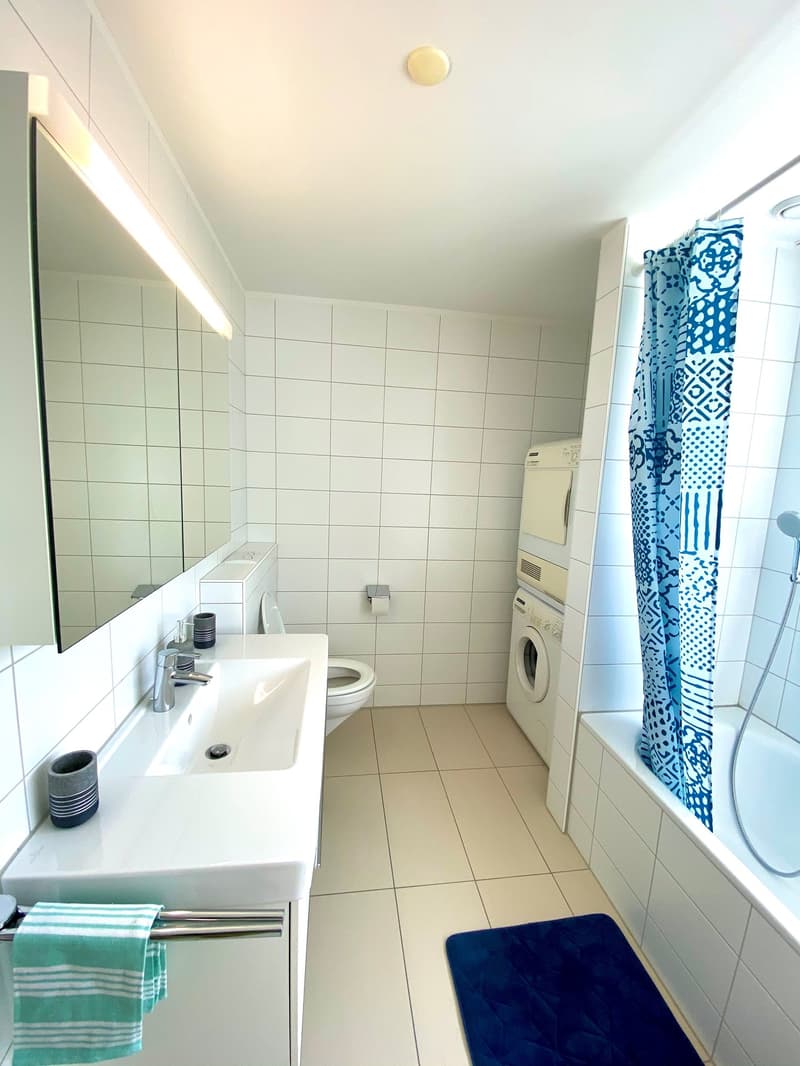 Schönes WG-Zimmer mit idealer Verkehrs-/ÖV Anbindung :) (7)