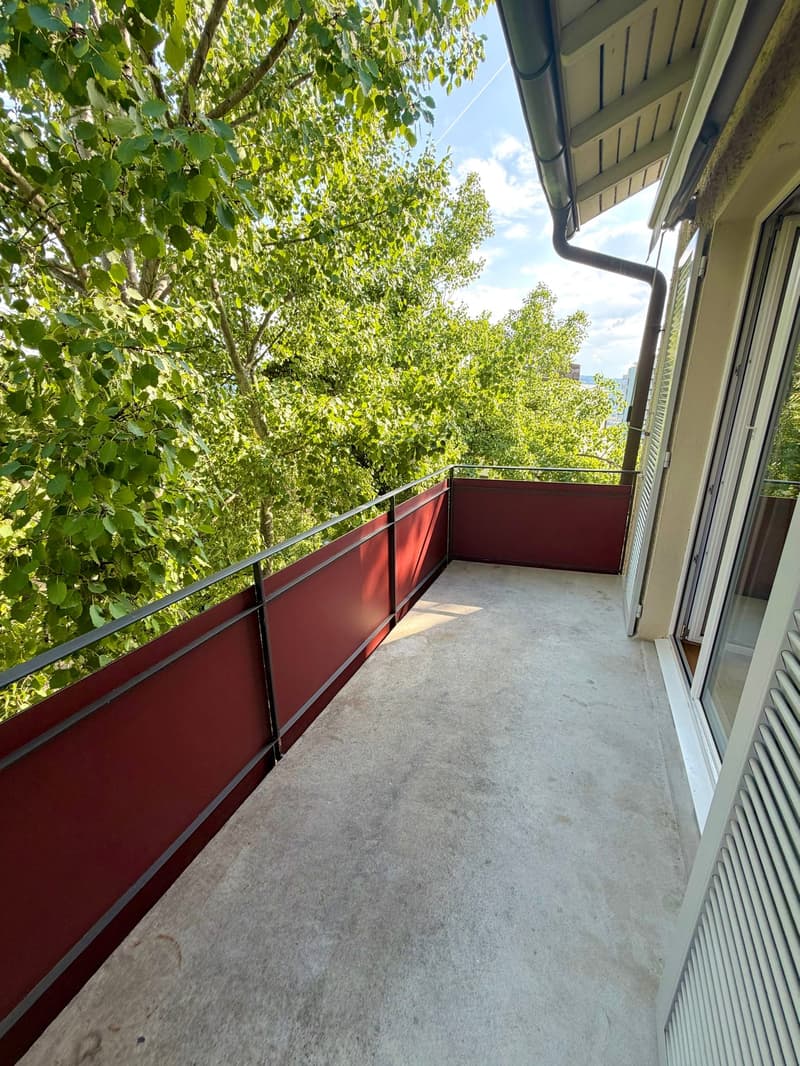 Grosses Zimmer in Gehdistanz zur ETH Hönggerberg :) (9)