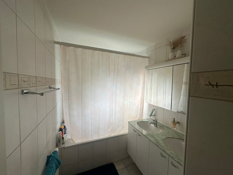 Grosszügige 3.5Zi. Wohnung im Grünen. Tiefgaragenplatz inkl. (5)