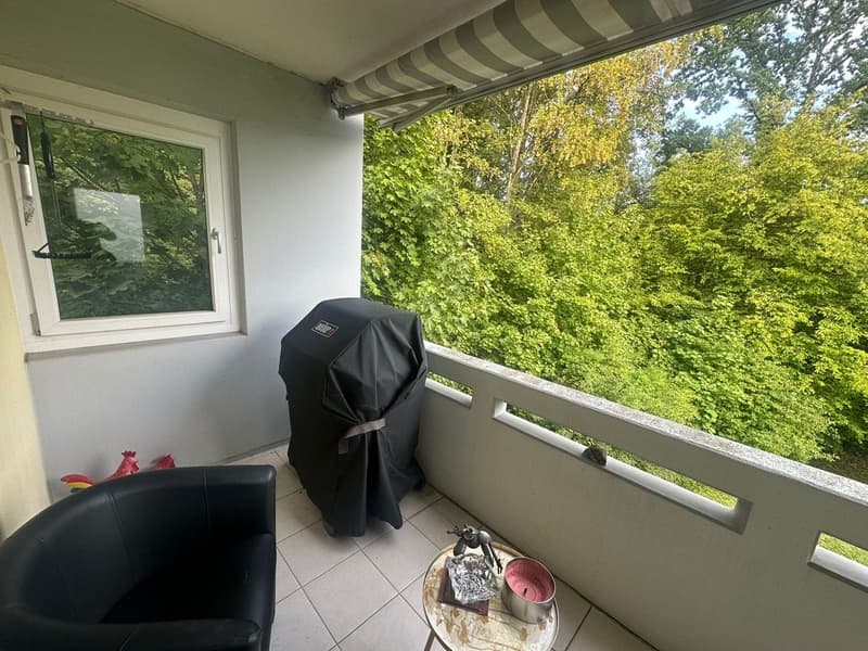 Grosszügige 3.5Zi. Wohnung im Grünen. Tiefgaragenplatz inkl. (8)