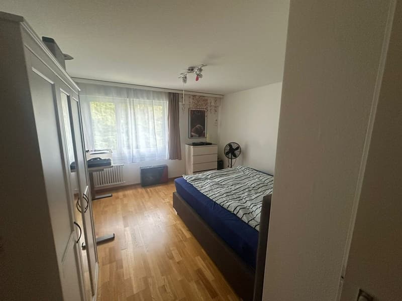 Grosszügige 3.5Zi. Wohnung im Grünen. Tiefgaragenplatz inkl. (2)