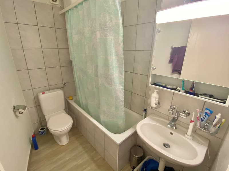 Grosses WG-Zimmer mit idealer Verkehrs-/ÖV Anbindung :) (5)