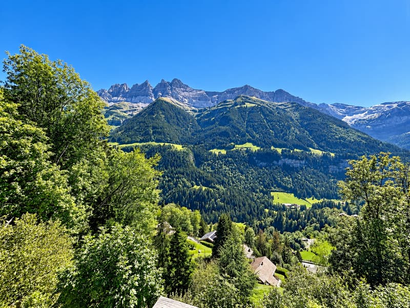 Chalet d’exception face aux Dents du Midi, secteur privilégié de Champéry (3)