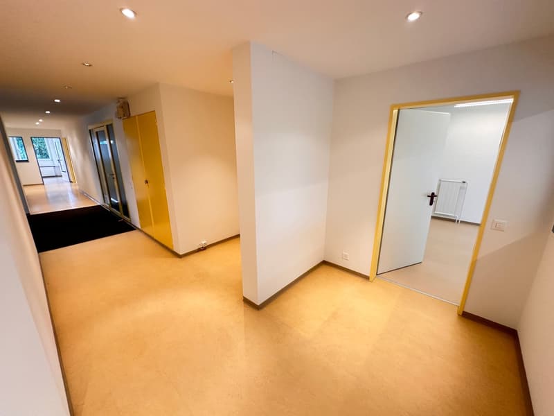 Grosszügige Büro/-Gewerbefläche in Zumikon - sofort verfügbar (17)