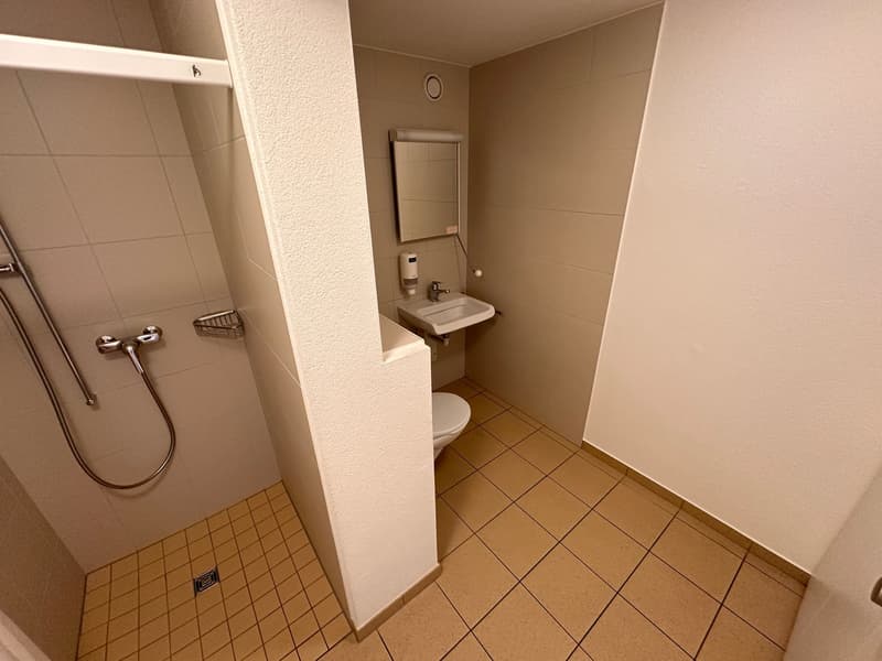small bathroom with toilet, sink, and shower