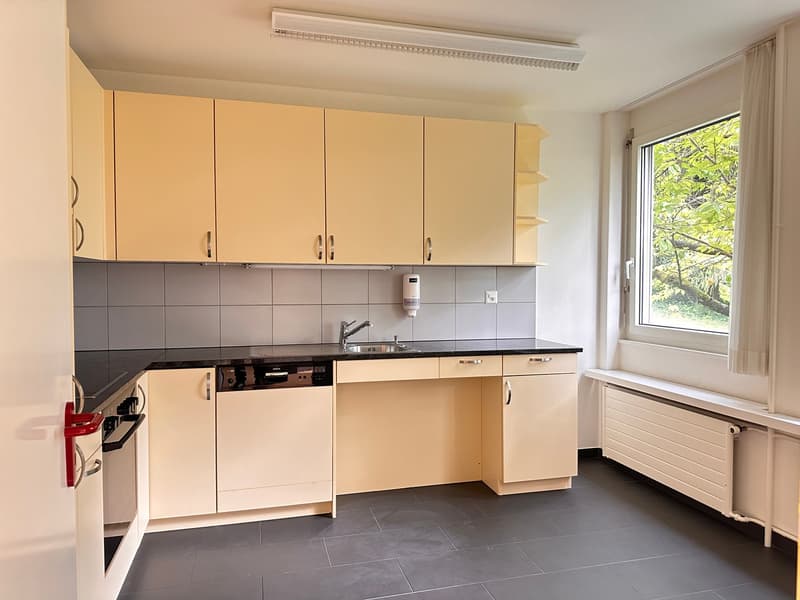 modern kitchen, yellow cabinets, black countertops, stainless steel sink, faucet, dishwasher, washing machine, tiled floor, window, radiator
