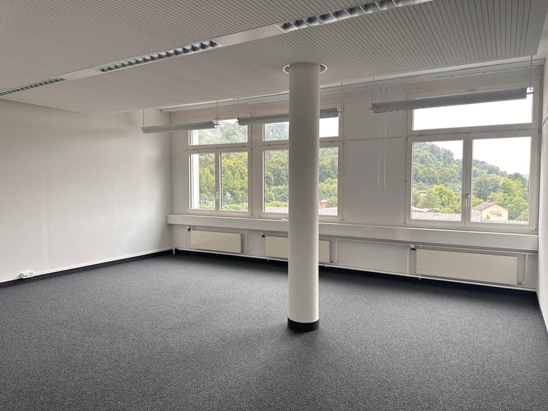 empty room with white walls, gray flooring, white ceilings, radiators, and windows