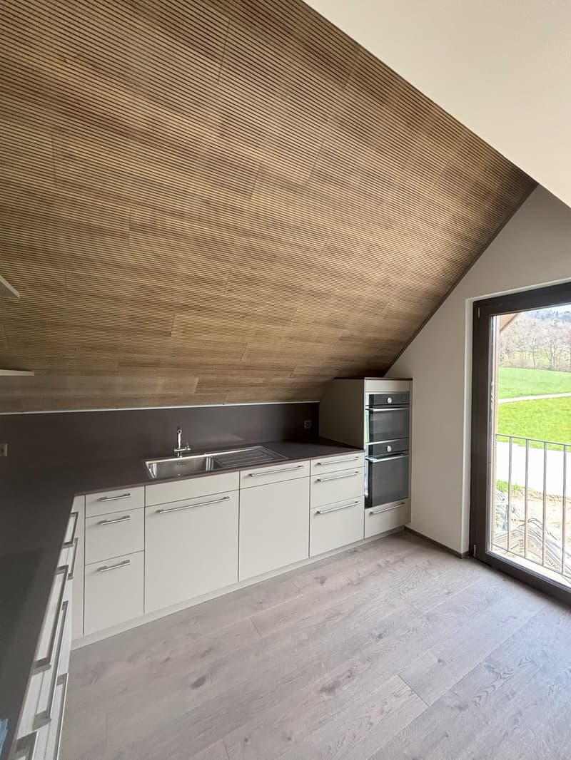 Attic kitchen with wooden ceiling, white cabinets, built-in oven and sink, hardwood flooring, and access to a balcony or terrace.