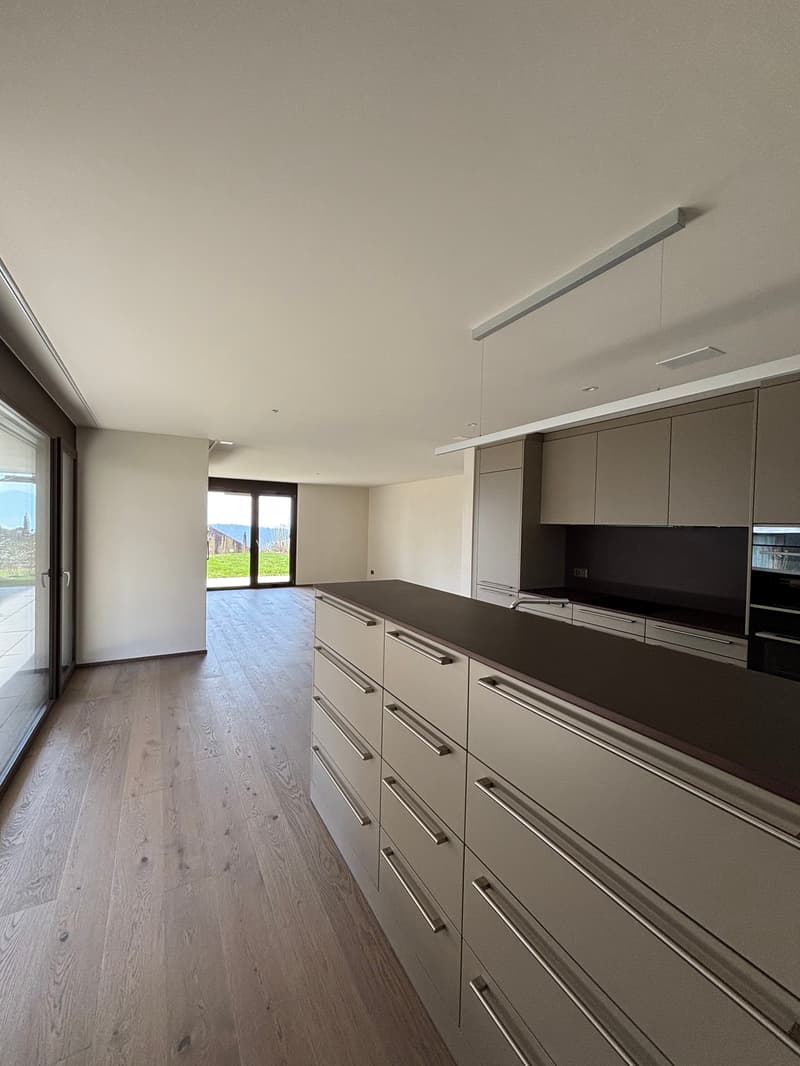 Appartamento giardino nuovo di 3,5 locali con giardino e vista sul lago di Zug (7)