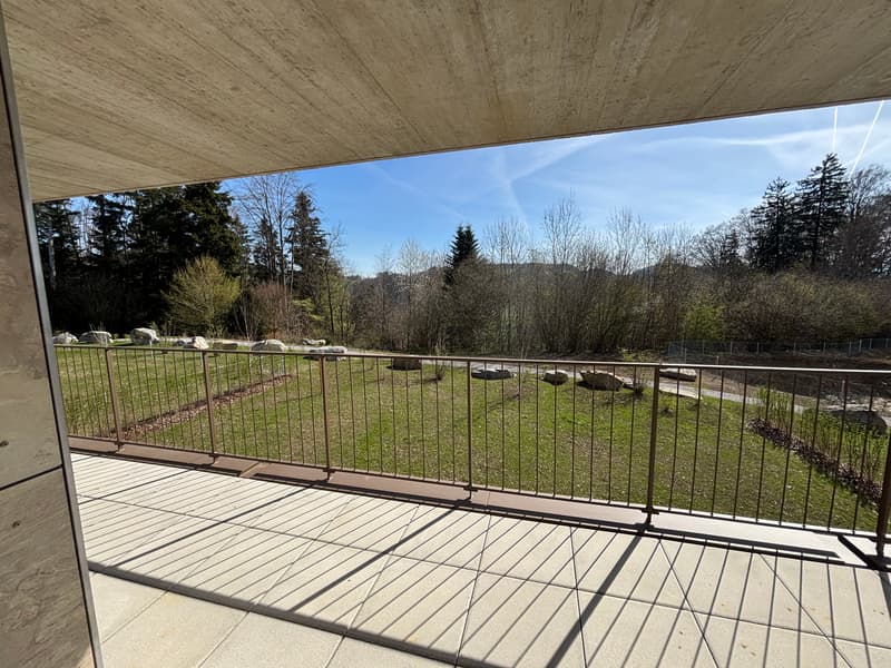 Premier location : Appartement spacieux 4,5 pièces avec balcon de 41m2 (17)