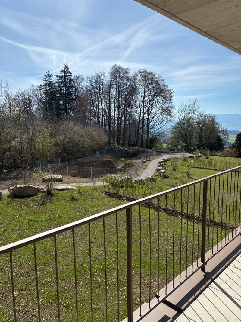 Premier location : Appartement spacieux 4,5 pièces avec balcon de 41m2 (2)