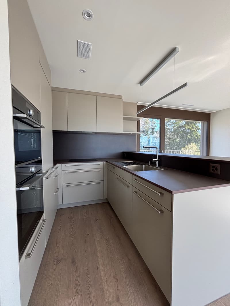 Premier location 2,5 pièces appartement mansardé dans un endroit calme avec 2 terrasses (78m2) (3)