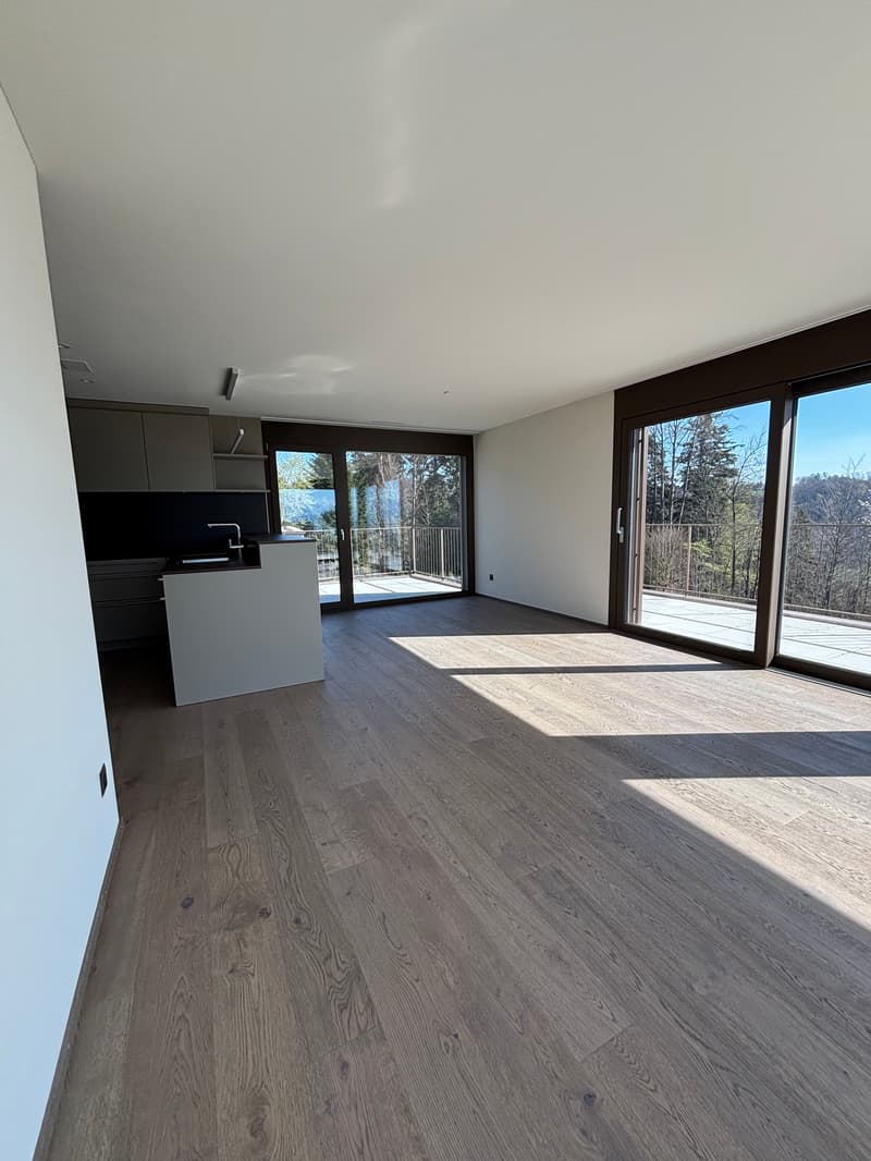 Premier location 2,5 pièces appartement mansardé dans un endroit calme avec 2 terrasses (78m2) (7)