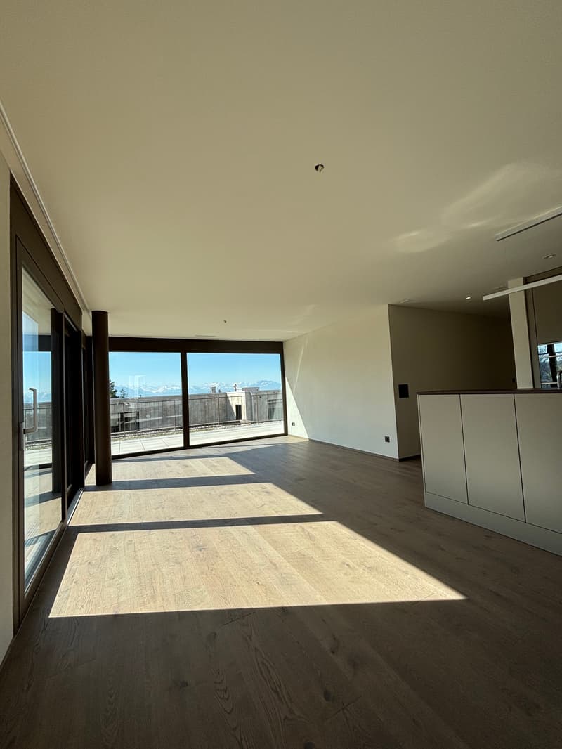 Premier location 2,5 pièces appartement mansardé dans un endroit calme avec 2 terrasses (78m2) (6)