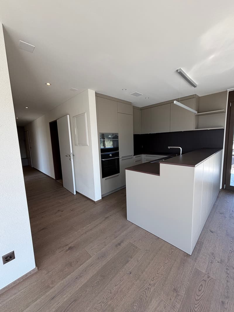 Premier location 2,5 pièces appartement mansardé dans un endroit calme avec 2 terrasses (78m2) (5)