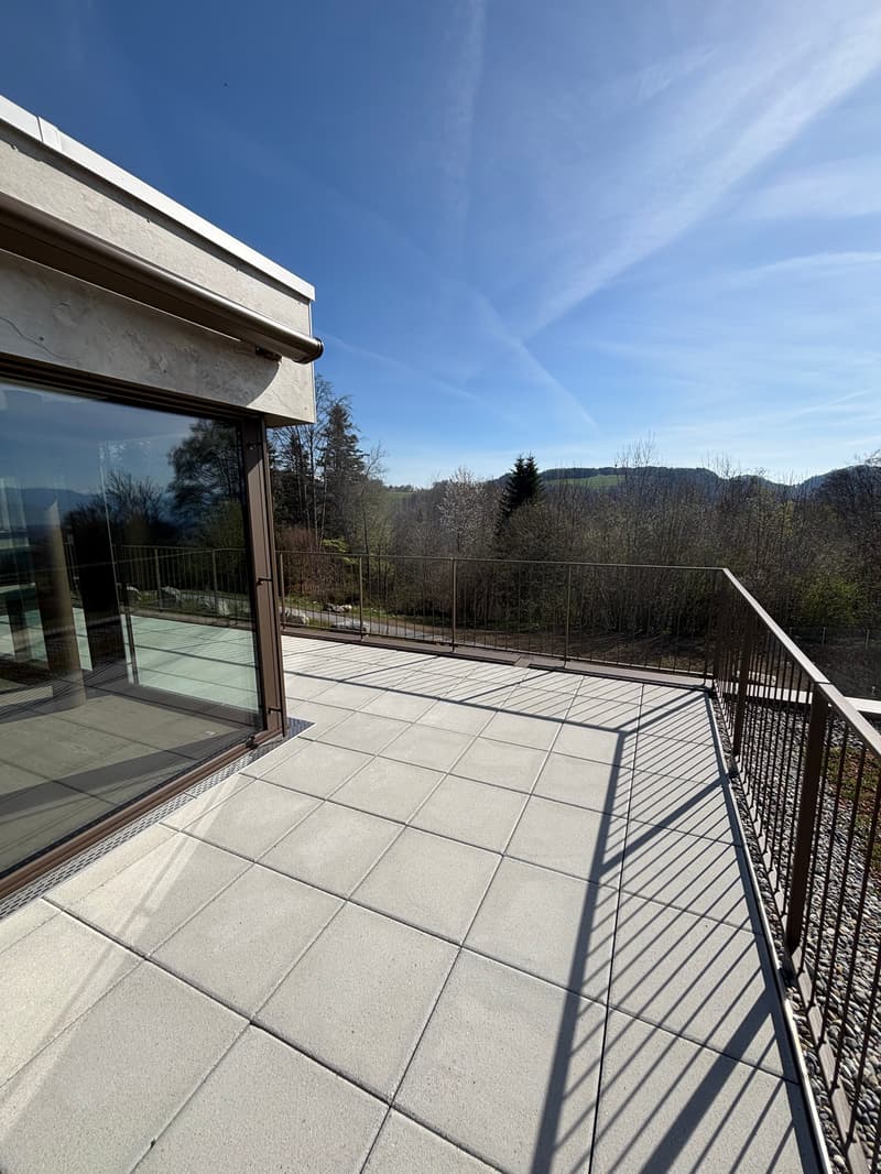 Premier location 2,5 pièces appartement mansardé dans un endroit calme avec 2 terrasses (78m2) (16)
