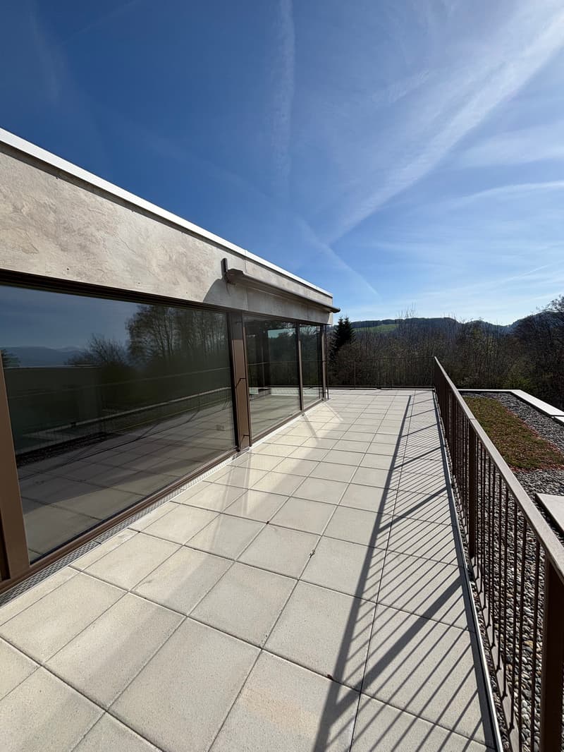 Premier location 2,5 pièces appartement mansardé dans un endroit calme avec 2 terrasses (78m2) (15)