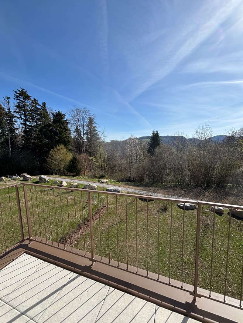 Premier location 2,5 pièces appartement mansardé dans un endroit calme avec 2 terrasses (78m2) (18)
