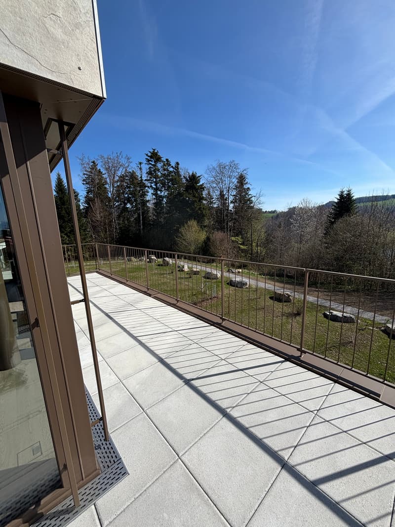Premier location 2,5 pièces appartement mansardé dans un endroit calme avec 2 terrasses (78m2) (17)