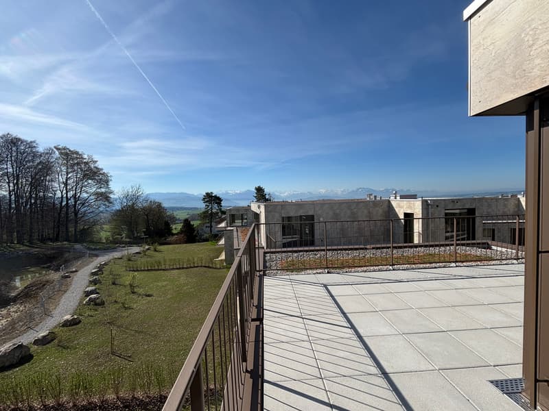 Premier location 2,5 pièces appartement mansardé dans un endroit calme avec 2 terrasses (78m2) (14)