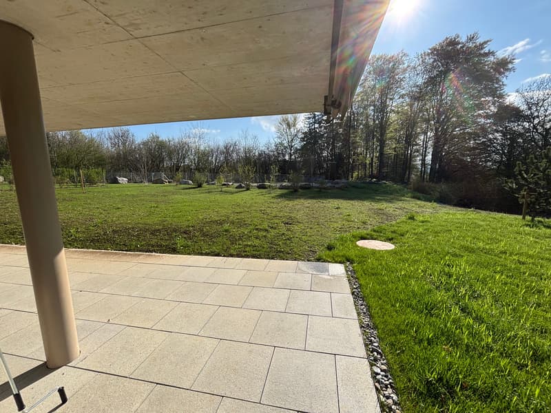 First-time rental: Summer paradise - 3.5 room apartment with 515m2 garden (18)