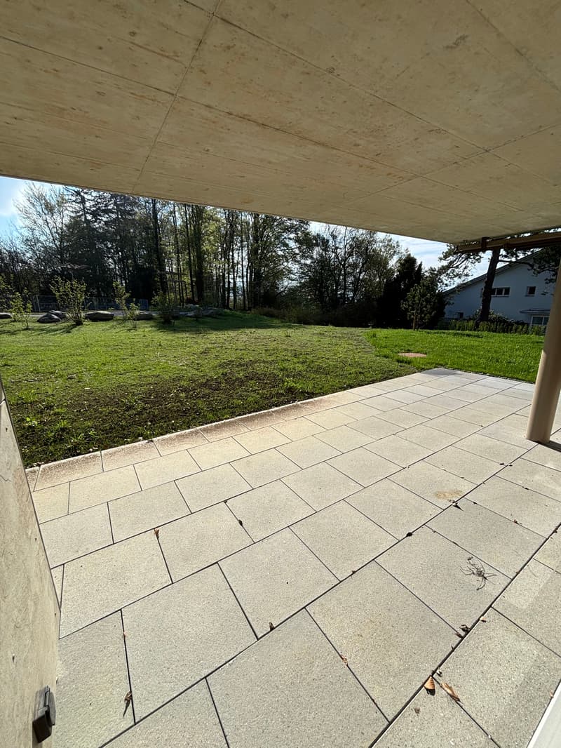 First-time rental: Summer paradise - 3.5 room apartment with 515m2 garden (3)