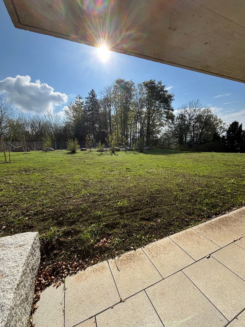 First-time rental: Summer paradise - 3.5 room apartment with 515m2 garden (20)