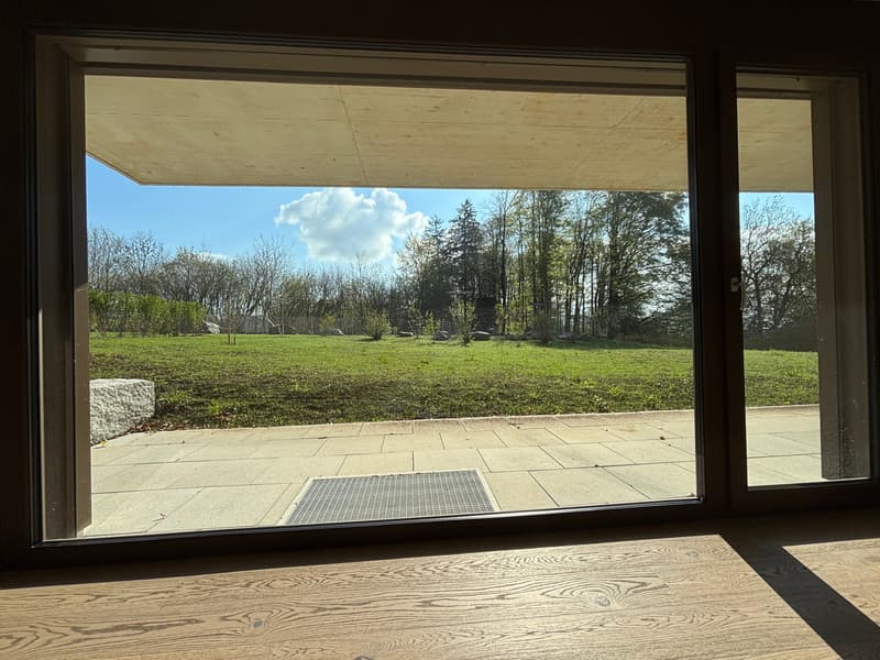 First-time rental: Summer paradise - 3.5 room apartment with 515m2 garden (4)