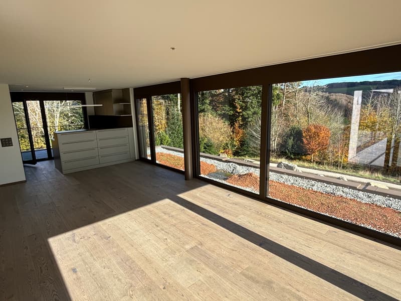Nuova costruzione appartamento con attico di 3,5 locali con due terrazze e vista sulla natura (10)