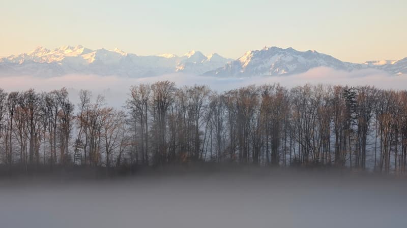 Appartamento di 3,5 locali con giardino e vista mozzafiato e stanza aggiuntiva (19)